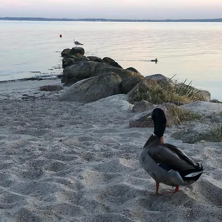 Ferienhaus Ostseecamp Lübecker Bucht Passat Mit Kostenfreier Saunanutzung *
